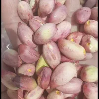 پسته بادامی