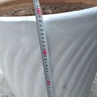 تعدادی گلدان سرامیکی و پلاستیکی بزرگ