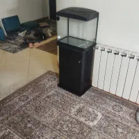 آکواریوم ماهیران