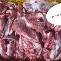 لا دنده گوساله جونه نر فوق‌العاده سرخ و تازه