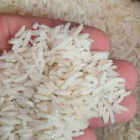 برنج طارم کشت اول مرغوب
