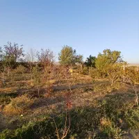 فروش فوری باغ در روستای آغجه اوبه شهرستان عجبشیر|فروش زمین و ملک کلنگی|عجب شیر, |دیوار