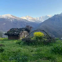 ویلا-باغ-تنکابن-شهسوار