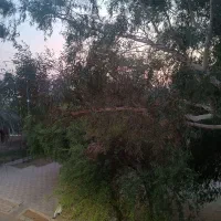 فروش-مغازه-در-بازار-مرکزی-سوسنگرد-چهارراه-شریعتی