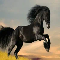 دریافت دائمی کود اسب