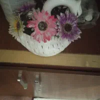 دوعددگل وگلدان