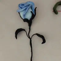 گل های جاودان