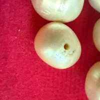 مروارید اب شور