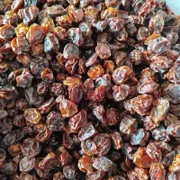 آلو خشک|خوردنی و آشامیدنی|سی‌سخت, |دیوار