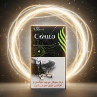 استخدام ویزیتور