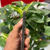 Iphone 12pro|موبایل|شیراز, زند|دیوار