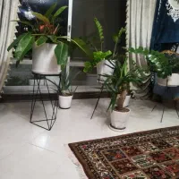 نیازمند خانم درمنزل کمکارمادر