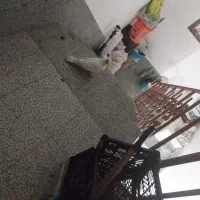 سلام ۵عدد کبوتر رنگی اکثرا بزن