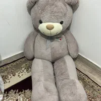 شاسخین کاملا نو
