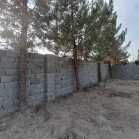 باغ استسنایی|فروش زمین و ملک کلنگی|اسلام‌شهر, کاشانک|دیوار