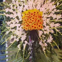 تاج گل|گل و گیاه طبیعی|شیراز, دارالرحمه|دیوار