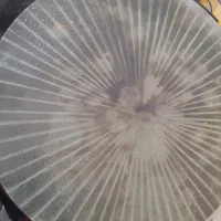 دف خورشیدی کاملاسالم همراه باکیف