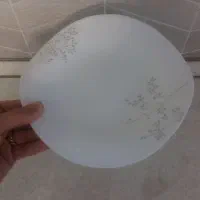 آرکوپال ۱۸ نفره خارجی|ظروف سرو و پذیرایی|رشت, کوی حسینی|دیوار