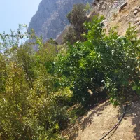 فروش خانه نو ساز با باغ|فروش خانه و ویلا|دهدشت, |دیوار