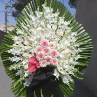 راحیل مجموعه پخش تاج سراسر شهر مطابق تصویر وظرافت|خدمات پذیرایی، مراسم|تهران, آهنگ|دیوار