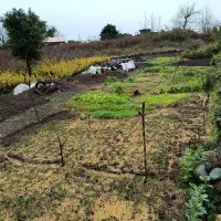 باغ-ویلا2000متری-سنددار-روستایی-خوش-آب-وهوا