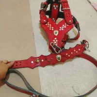 سینه بند سگ چرمی