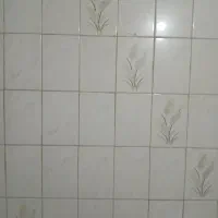 کاشیکار