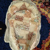 آغوشی سوئیسی و کریر