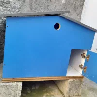 لانه مرغ و کبوتر|لوازم جانبی حیوانات|مشگین شهر, |دیوار