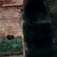 زمین-کشاورزی-عباس-ا-باد-فرنق