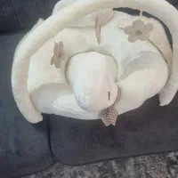 گهواره و مبل نوزاد|اسباب و اثاث بچه|کاشان, فاز ۱ ناجی آباد|دیوار