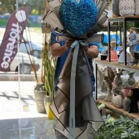 دسته گل ژیپسوفیلا|گل و گیاه طبیعی|چهاردانگه (تهران), |دیوار