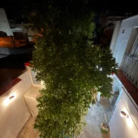 80-متر-ویلایی-دو-طبقه-استاد-همایی