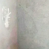 پلاستر وتخریب باقیمت مناسب وسیمان سفید|خدمات پیشه و مهارت|اهواز, کوی علوی|دیوار