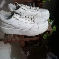 کفش  بدوح پارگی و زدگی|کیف، کفش، کمربند|مشهد, کارمندان دوم|دیوار