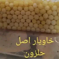 فروش خاویار حلزون