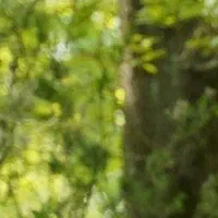 اپارتمان-85-متری-رهن-کامل-وفروش-بلوار-کوشش