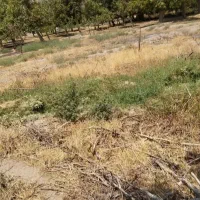 730-متر-باغ-در-کلجاه