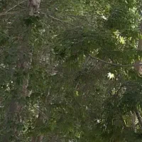 کارت ورود به جلسه آموزش پرورش