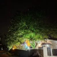 ویلا جنگلی در سراوان روستای کچا مستقیم از مالک