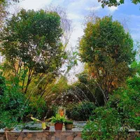 اجاره باغ جهت جشن تولد نامزدی عقد دورهمی|اجارهٔ کوتاهمدت ویلا و باغ|تهران, شهرک طالقانی|دیوار