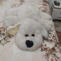 عروسک|اسباببازی|تبریز, |دیوار