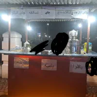 گاری|فروشگاه و مغازه|رشت, عینک|دیوار