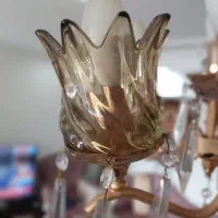 ۶ عدد حباب لوستر شامپانی|لوستر و چراغ آویز|تهران, سلسبیل شمالی|دیوار