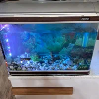 آکواریوم بسیار زیبا با تمام تجهیزات