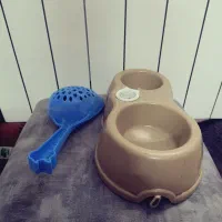 واگذاری کیتی دارکه، گربه ای همدم و دوست داشتنی|گربه|قم, دورشهر|دیوار