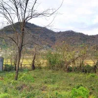 ۲۳۳مترمسکونی مسکونی پلاک جنگلی