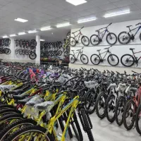 فونیکس در همه رنگ و در همه سایز