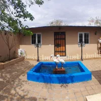 خونه-باغ-باغچه-نقلی-سنتی-سند-تک-برگ
