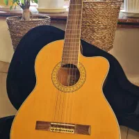 فروش گیتار
